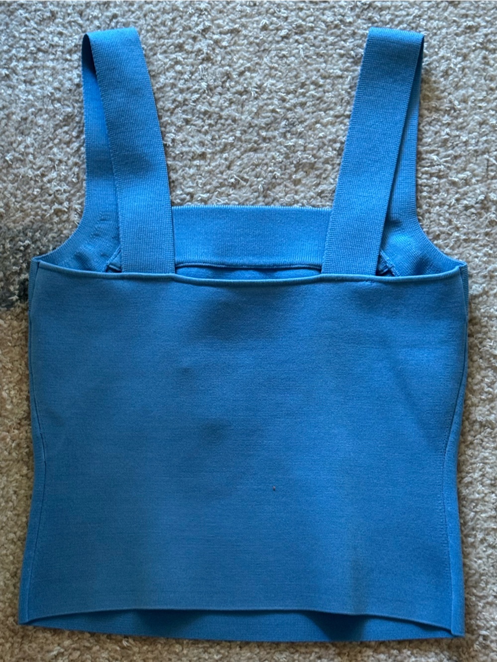 NEW Simkhai Madine Tank Top in Blue Hydrangea - Picture 4 of 4